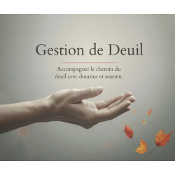 Gestion de deuil par Julien